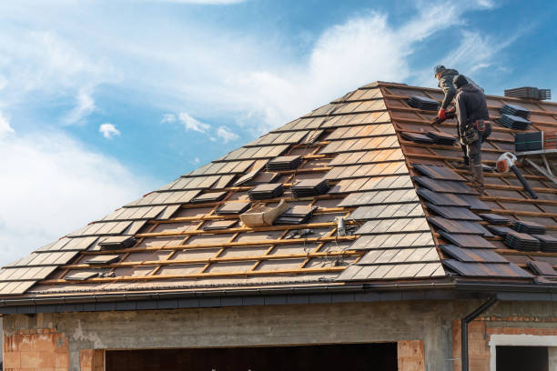 Best Storm Damage Roof Repair  in Roma, TX