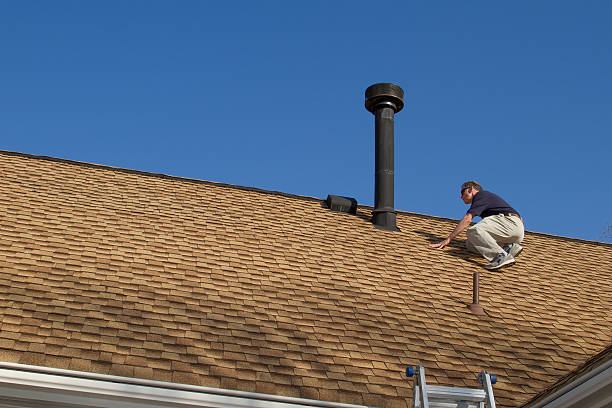 Best Metal Roofing Installation  in Roma, TX